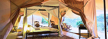 cottars luxury camp masai mara kenya